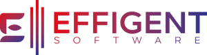 Effigent Software Logo